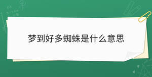 夢到好多蜘蛛是什么意思