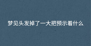 夢(mèng)見(jiàn)頭發(fā)掉了一大把預(yù)示著什么