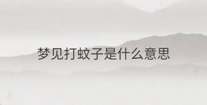 夢(mèng)見(jiàn)打蚊子是什么意思