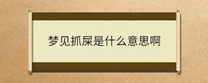 夢見抓屎是什么意思啊