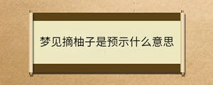 夢見摘柚子是預示什么意思