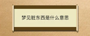 夢見臟東西是什么意思