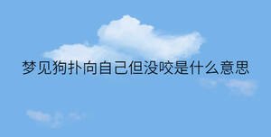 夢見狗撲向自己但沒咬是什么意思