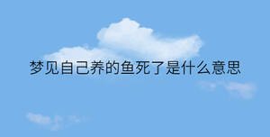 簡(jiǎn)約藍(lán)色背景 - 2022-12-05T094939.597.jpg