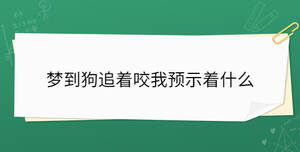 夢到狗追著咬我預示著什么