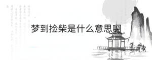 夢到撿柴是什么意思啊
