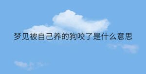 夢見被自己養(yǎng)的狗咬了是什么意思