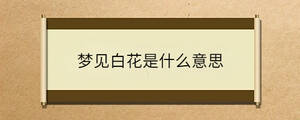 夢見白花是什么意思