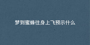 夢到蜜蜂往身上飛預(yù)示什么