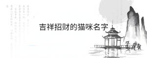 吉祥招財的貓咪名字