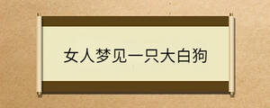 女人夢見一只大白狗