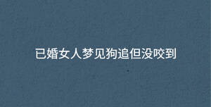 深色背景 - 2022-12-23T162311.491.jpg