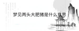 夢(mèng)見(jiàn)兩頭大肥豬是什么意思