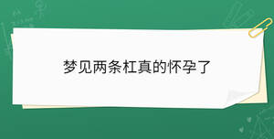 夢(mèng)見(jiàn)兩條杠真的懷孕了