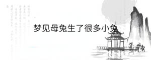 夢見母兔生了很多小兔