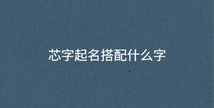芯字起名搭配什么字