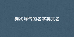 狗狗洋氣的名字英文名