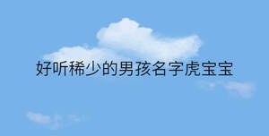 好聽稀少的男孩名字虎寶寶
