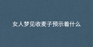 女人夢見收麥子預示著什么