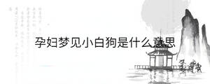 孕婦夢見小白狗是什么意思