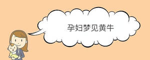 孕婦夢見黃牛