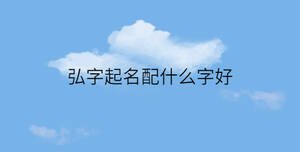 弘字起名配什么字好