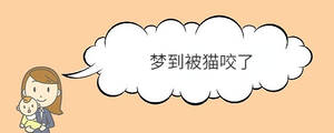 夢到被貓咬了