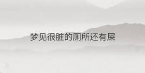 夢見很臟的廁所還有屎