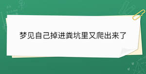 夢見自己掉進糞坑里又爬出來了