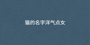 貓的名字洋氣點女