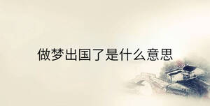 做夢出國了是什么意思