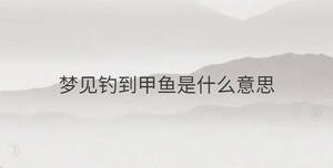 簡單 - 2023-02-17T102410.671.jpg