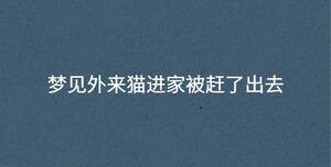 夢見外來貓進家被趕了出去