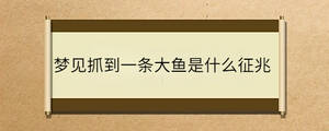 夢(mèng)見抓到一條大魚是什么征兆