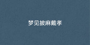 夢(mèng)見披麻戴孝