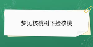 開(kāi)學(xué)季 - 2023-02-28T104053.209.jpg