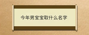 今年男寶寶取什么名字