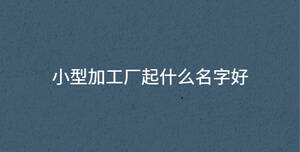 小型加工廠起什么名字好