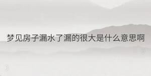 夢(mèng)見房子漏水了漏的很大是什么意思啊