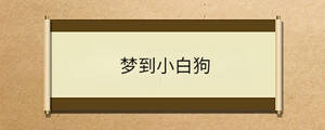 夢(mèng)到小白狗