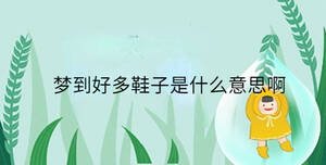 夢到好多鞋子是什么意思啊