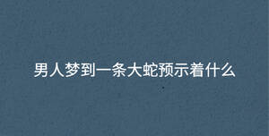 男人夢到一條大蛇預示著什么