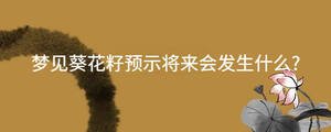 夢見葵花籽預示將來會發生什么?