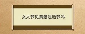 女人夢(mèng)見(jiàn)黃鱔是胎夢(mèng)嗎