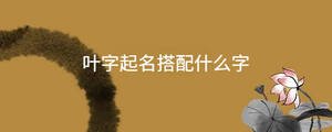葉字起名搭配什么字