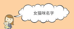 女貓咪名字
