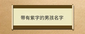 帶有紫字的男孩名字