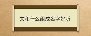 文和什么組成名字好聽
