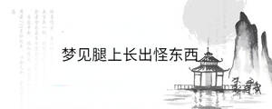 夢見腿上長出怪東西