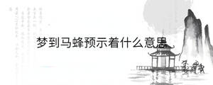 夢到馬蜂預(yù)示著什么意思